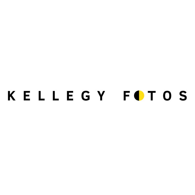 Logo Design by Winterbird  for this project | Design #3283758