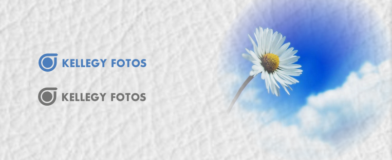 Logo Design by SeXtreme for this project | Design #3312935