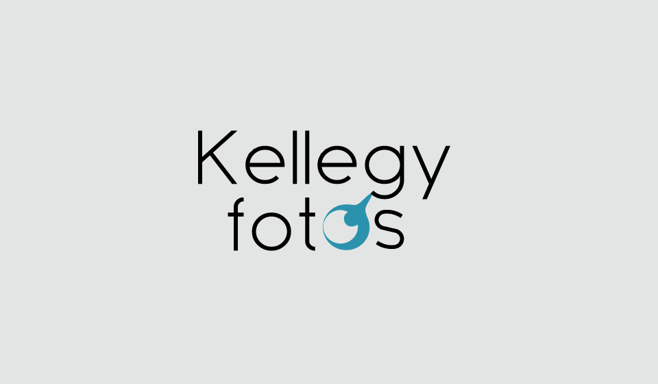 Logo Design by inocent_khawaja for this project | Design #3283772