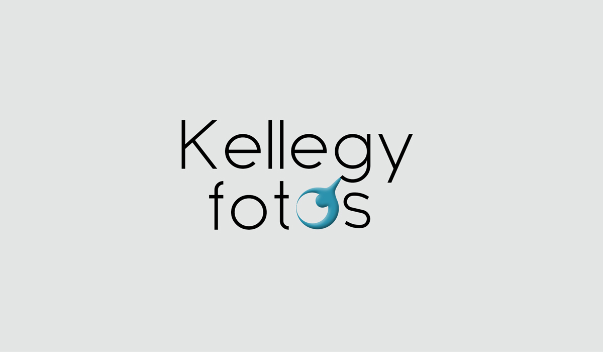 Logo Design by inocent_khawaja for this project | Design #3283788