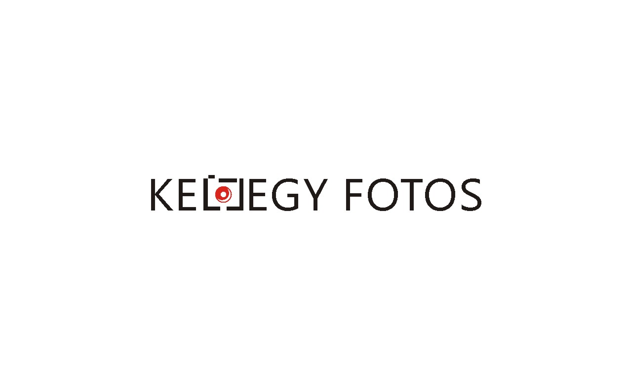 Logo Design by lrbalaji for this project | Design #3278863
