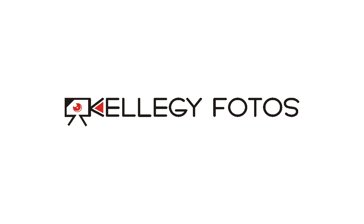 Logo Design by lrbalaji for this project | Design #3278917