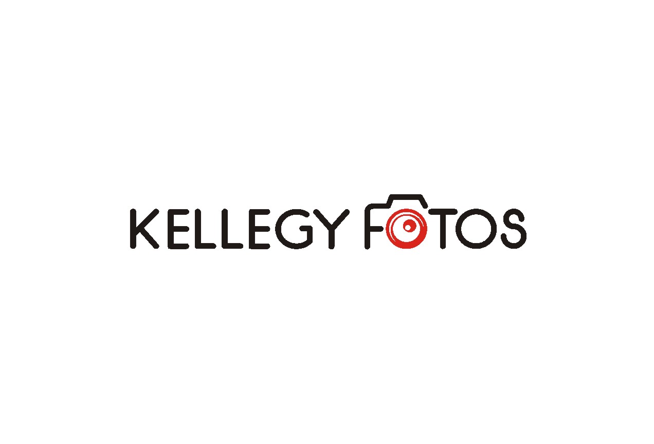 Logo Design by lrbalaji for this project | Design #3286002
