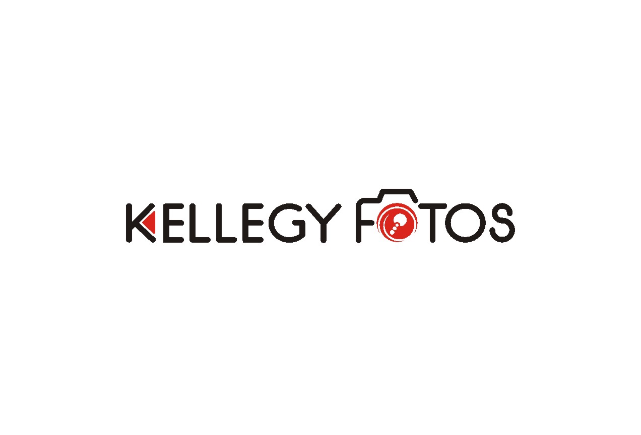 Logo Design by lrbalaji for this project | Design #3286357