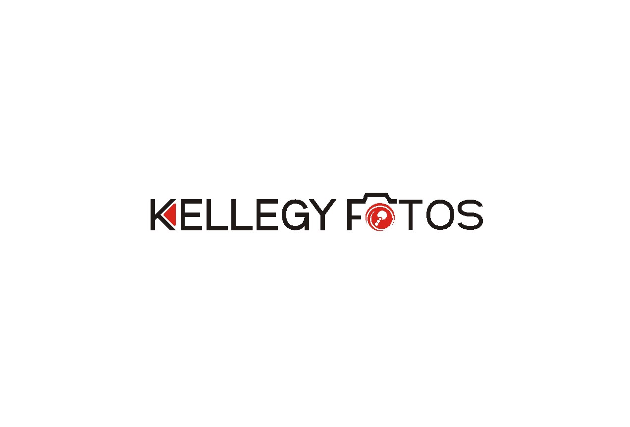 Logo Design by lrbalaji for this project | Design #3286369