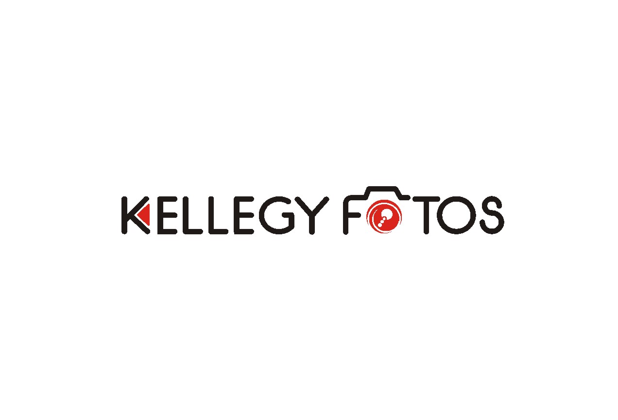 Logo Design by lrbalaji for this project | Design #3286378