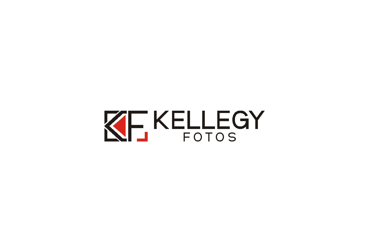 Logo Design by lrbalaji for this project | Design #3311104