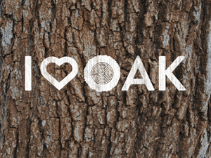 Logo Design by Rich Palmer for this project | Design #3816896