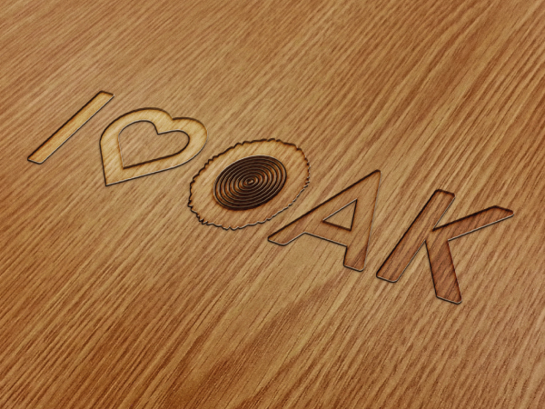 Logo Design by Rich Palmer for this project | Design #3816898