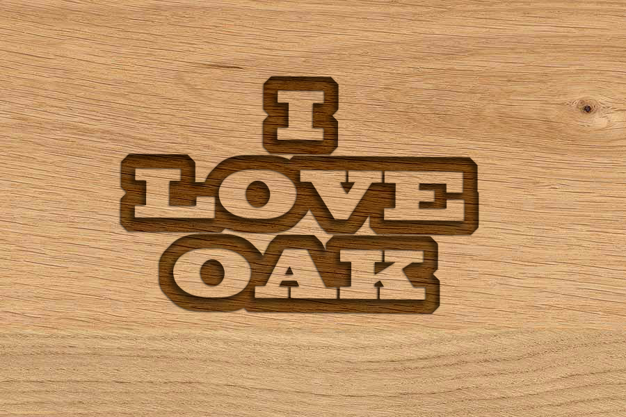 Logo Design by Sonetkaaa for this project | Design #3810962