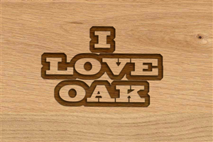 Diseño de Logo por Sonetkaaa para este proyecto | Diseño: #3810962