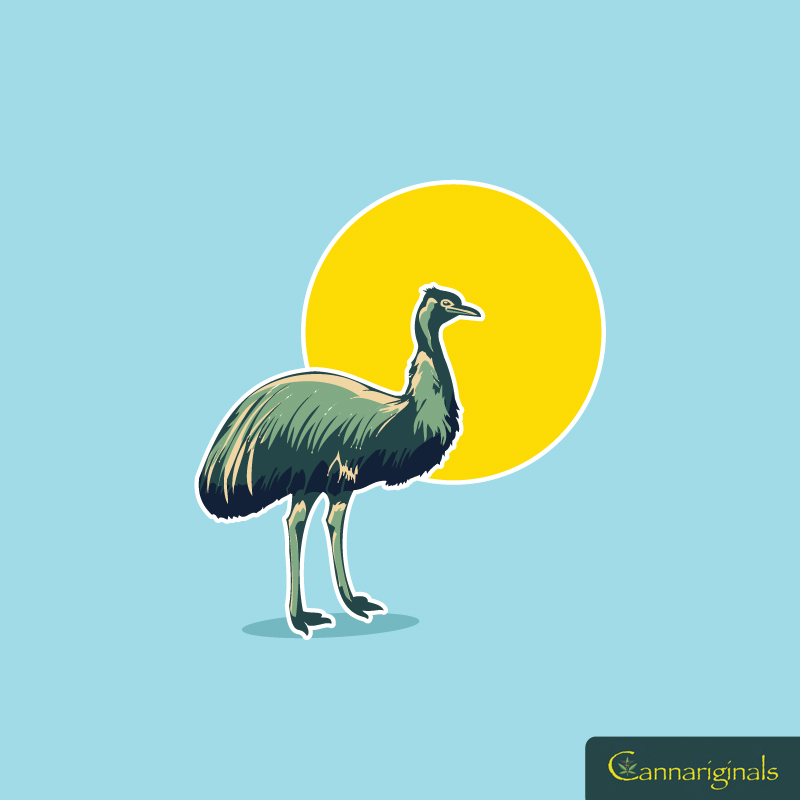 Design de Poster par junaid younas pour Cannariginals | Design #3335730