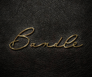 Design de Logo par Rafael Martyres pour ce projet | Design : #3281375