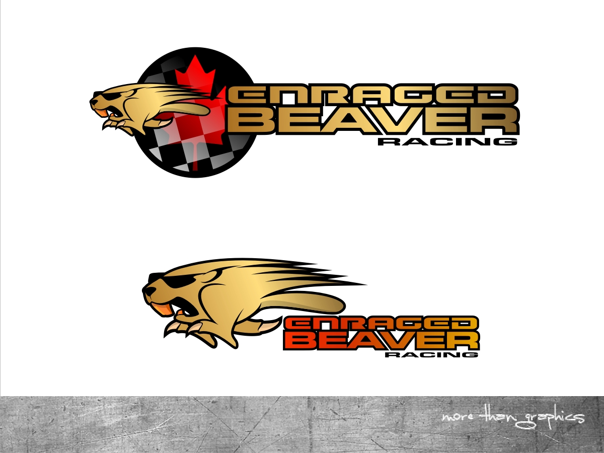 Logo Design by vladst2004 for this project | Design #3290543