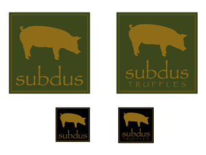 Logo Design by WAkland