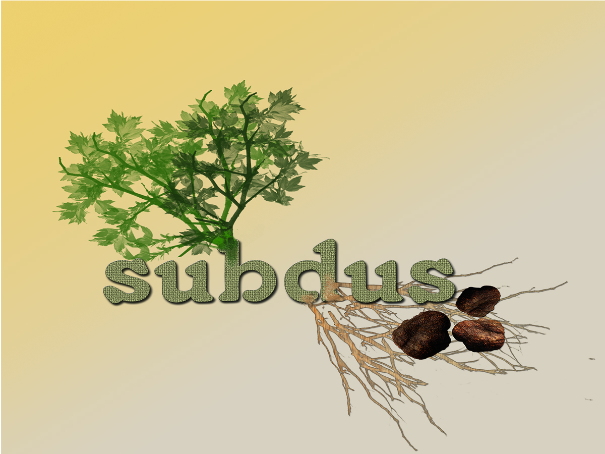 Logo Design by Christopher Wood for this project | Design #865654