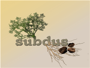Logo Design by Christopher Wood