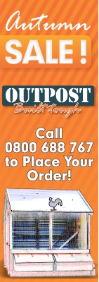 Design de Bannière  par GraphicsHub pour ce projet | Design #3311264