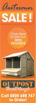 Banner Ad Design by GraphicsHub for this project | Design #3325901