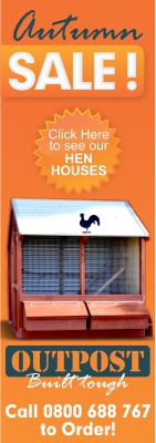 Design de Bannière  par GraphicsHub pour ce projet | Design #3325918