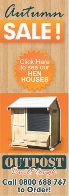 Design de Bannière  par GraphicsHub pour ce projet | Design : #3356248