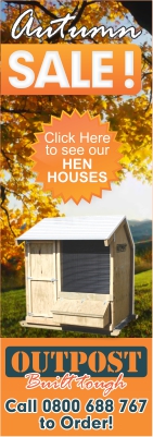 Design de Bannière  par GraphicsHub pour ce projet | Design #3356261