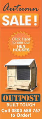 Design de Bannière  par GraphicsHub pour ce projet | Design #3370644