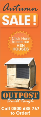 Banner Ad Design by GraphicsHub for this project | Design #3379489