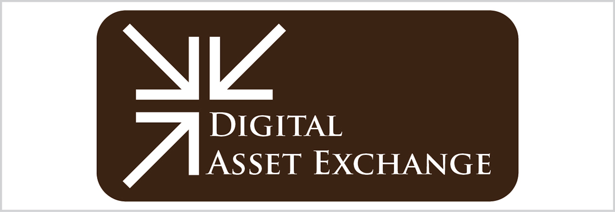 Logo Design by Anooshaa Kachhia for DSX Technologies Limited | Design #3339977