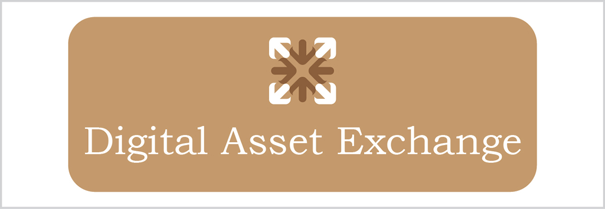 Logo Design by Anooshaa Kachhia for DSX Technologies Limited | Design #3339994