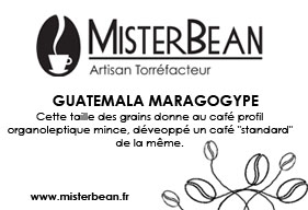 Packaging Design by Outfoxed for Mister Tea SARL | Design #3294780