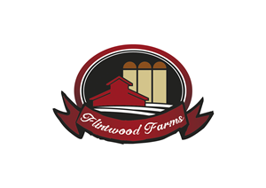 Logo Design by Gabor Szalay