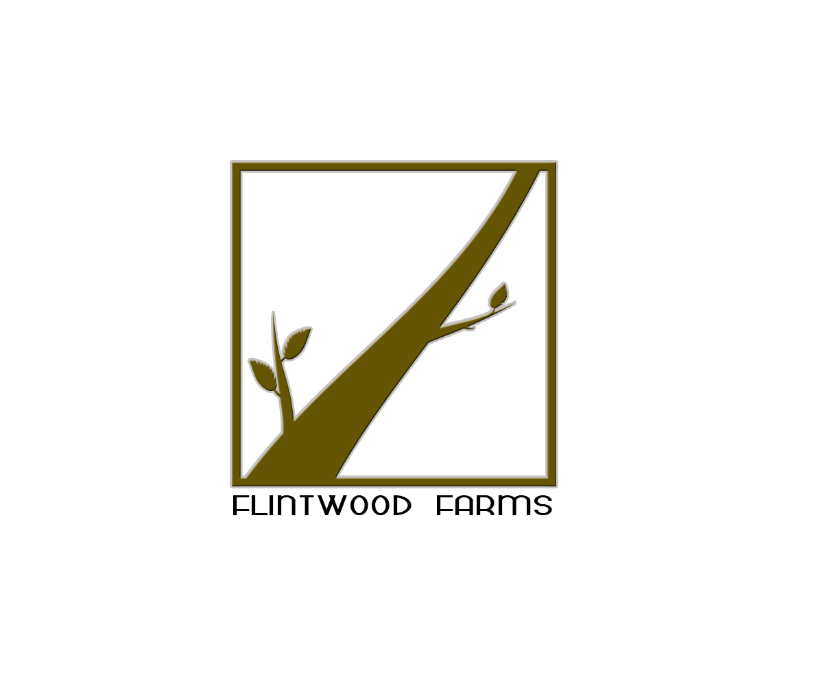Logo Design by braduta55 for this project | Design #3305431