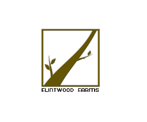 Logo Design by braduta55 for this project | Design #3305431