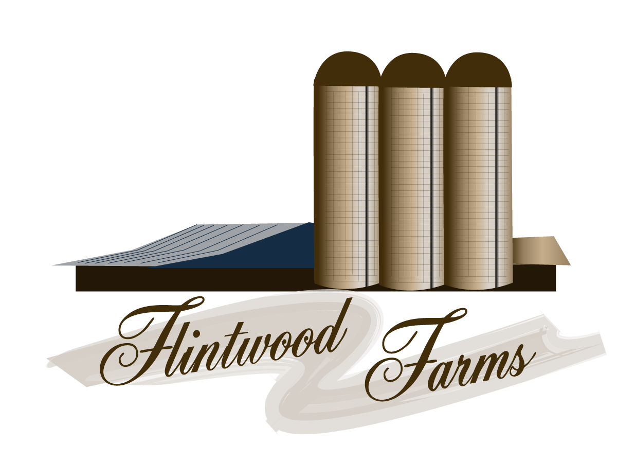 Logo Design by ChristineDeye for this project | Design #3300997
