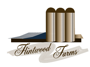 Logo Design by ChristineDeye for this project | Design #3300997