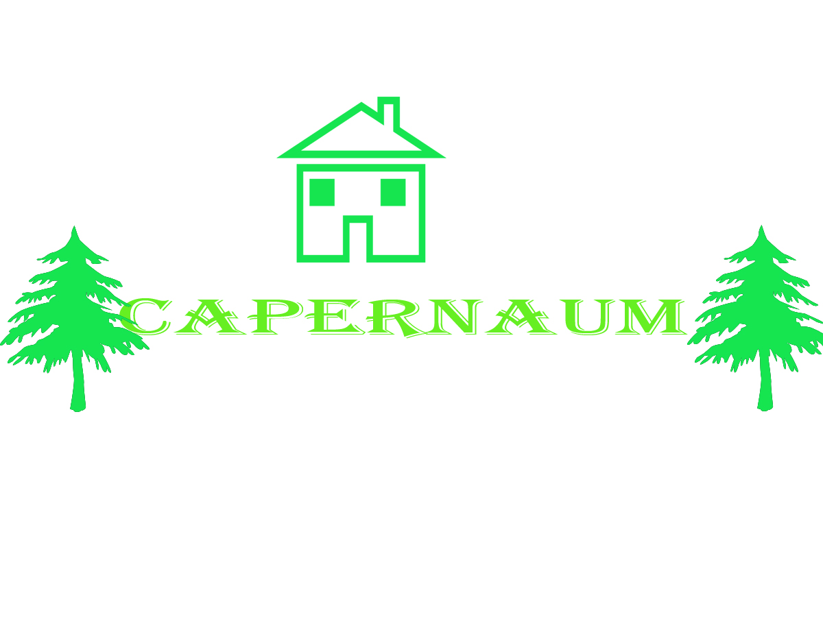 Logo Design by saitrinath for Tammy Lane Productions | Design #3313044