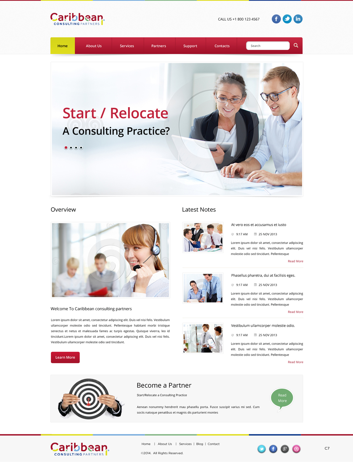 Web Design by pb for Caribbean Consulting Partners LLC | Design #3382802