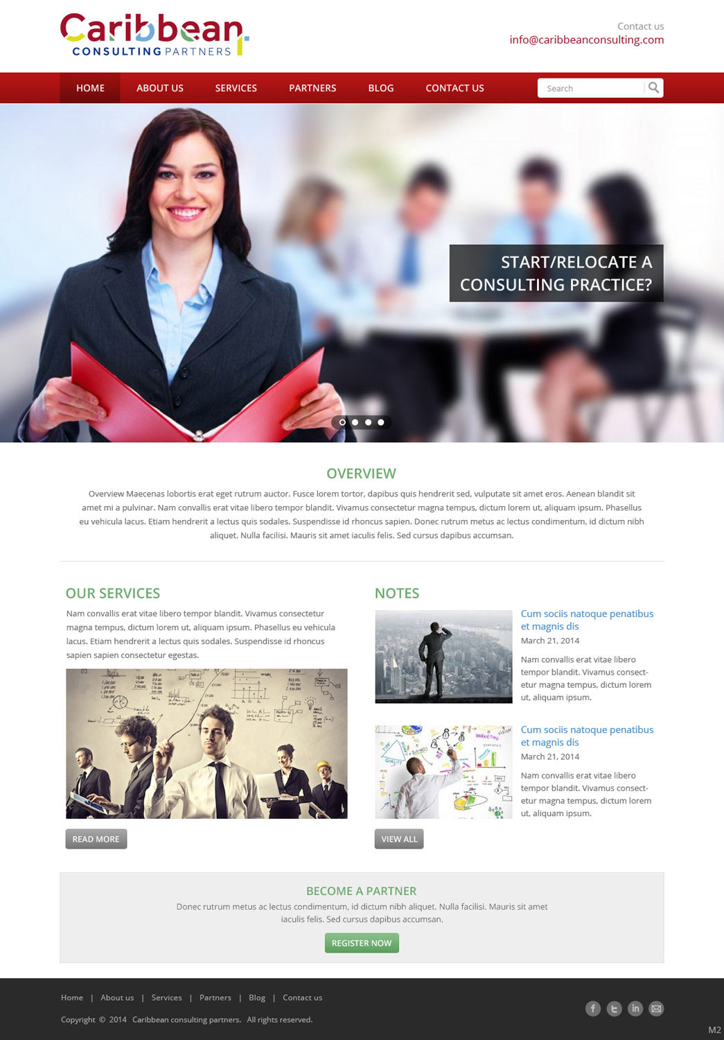 Web Design by pb for Caribbean Consulting Partners LLC | Design #3382807
