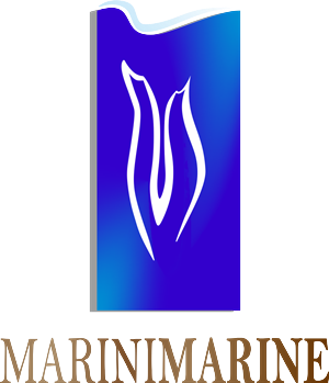 Logo Design by yeferni