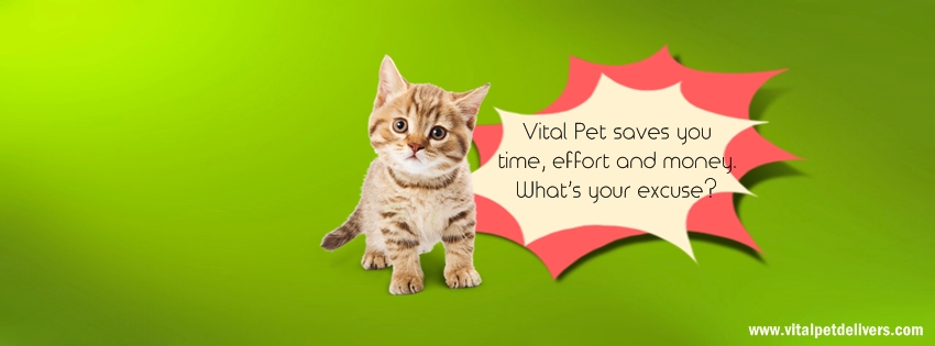 Facebook Design by lemongrass for this project | Design #3308409