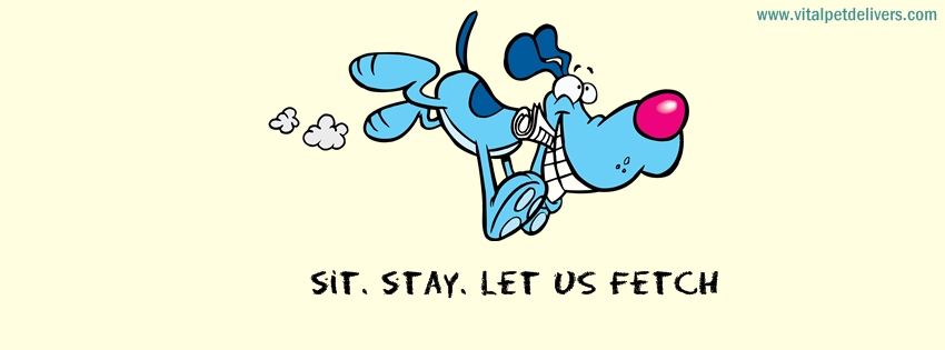 Facebook Design by lemongrass for this project | Design #3308483