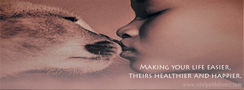 Facebook Design by lemongrass for this project | Design #3314926