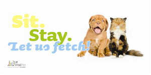 Facebook Design by yoyodesign for this project | Design: #3312529