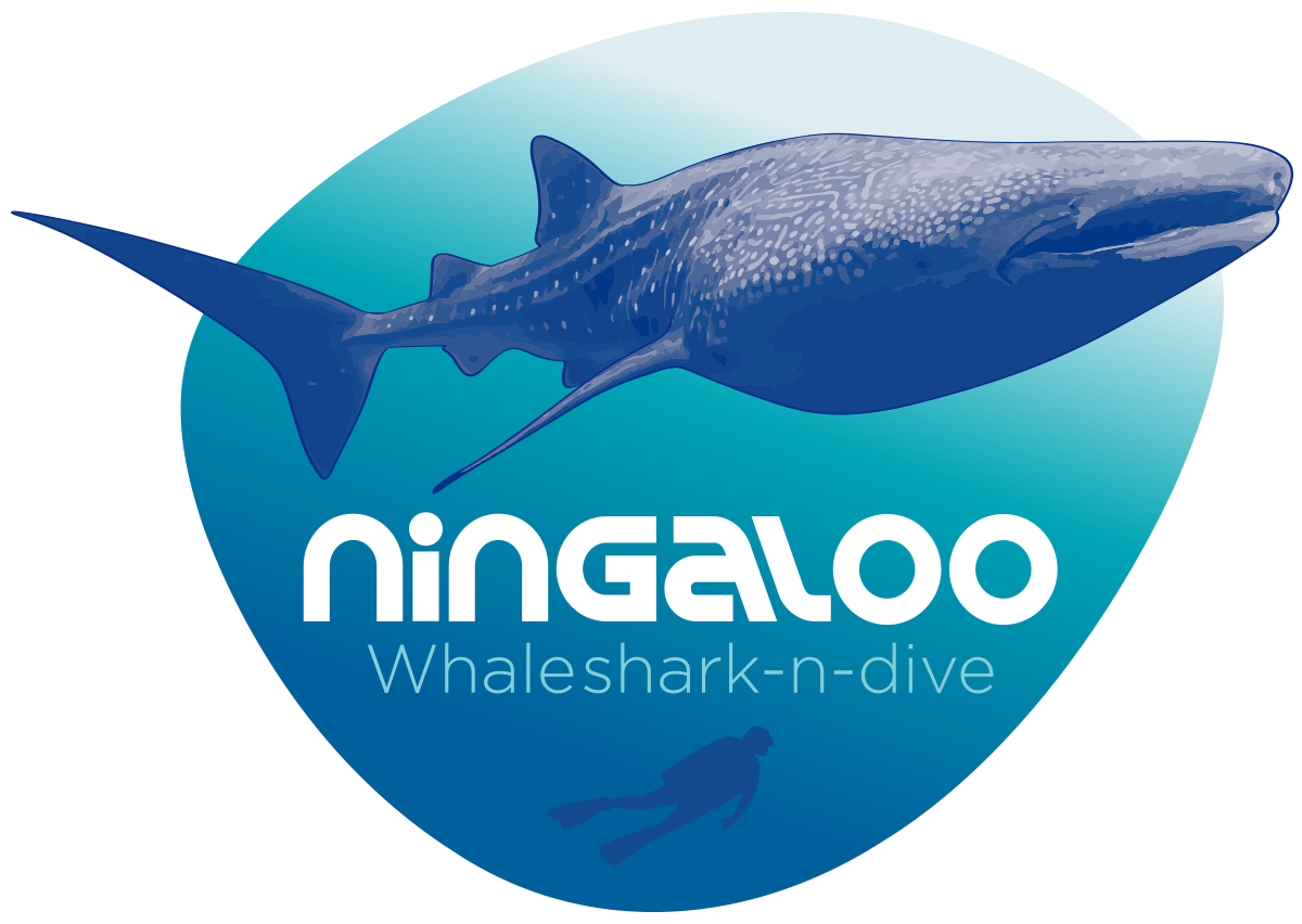 Logo Design by rjmclean79 for this project | Design #3310414