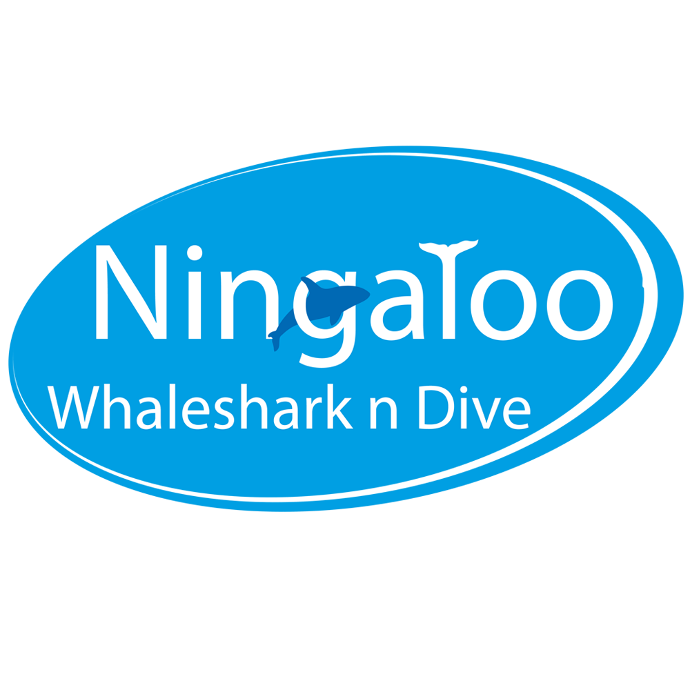 Logo Design by   for this project | Design #3298380