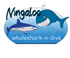 Logo Design by swineda