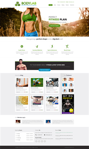 Wordpress Design by M79