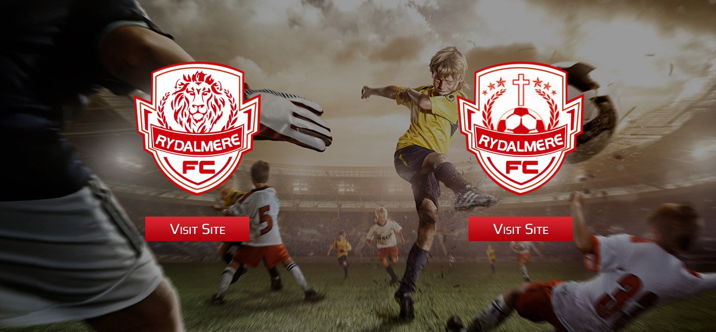 Web-Design von the-lion-king für dieses Projekt | Design #3328327