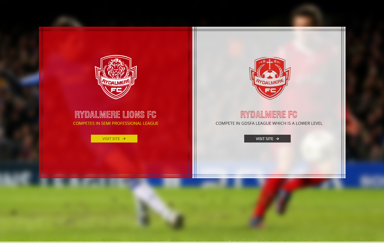 Web-Design von the-lion-king für dieses Projekt | Design #3328784